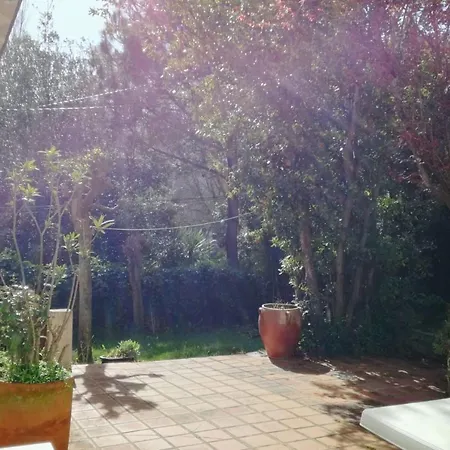 Holiday home Beautiful House Facing The Alder Wood And *