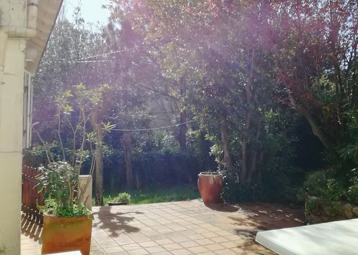 Holiday home Beautiful House Facing The Alder Wood And *